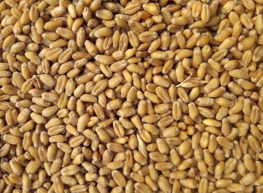 Farelo de soja